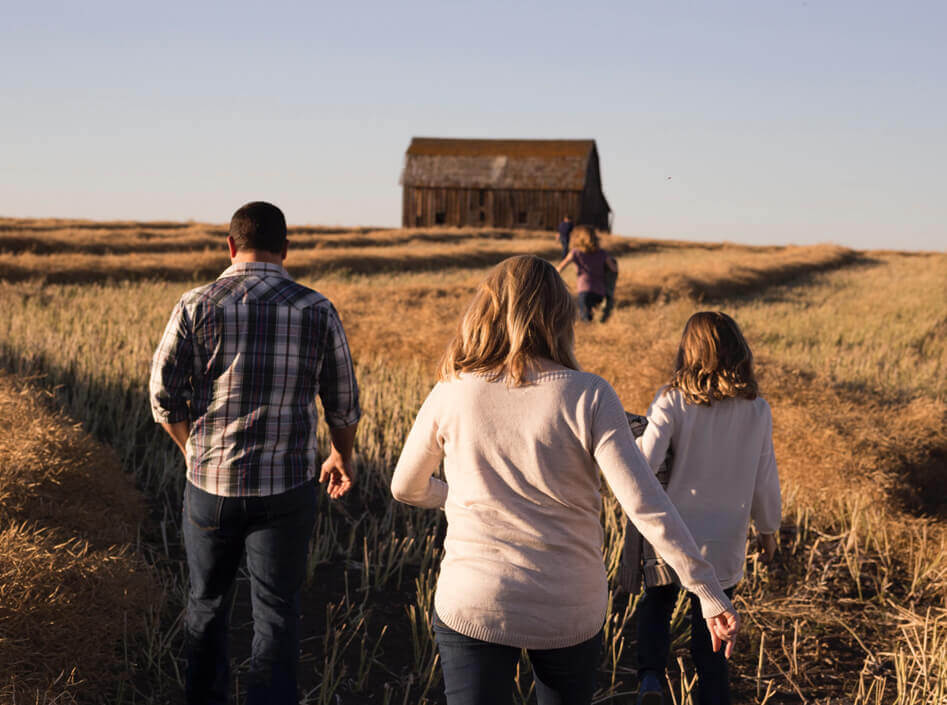 Modern Rice Milling Facility